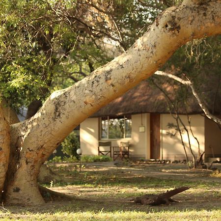 Island Safari Lodge Maun Exterior photo