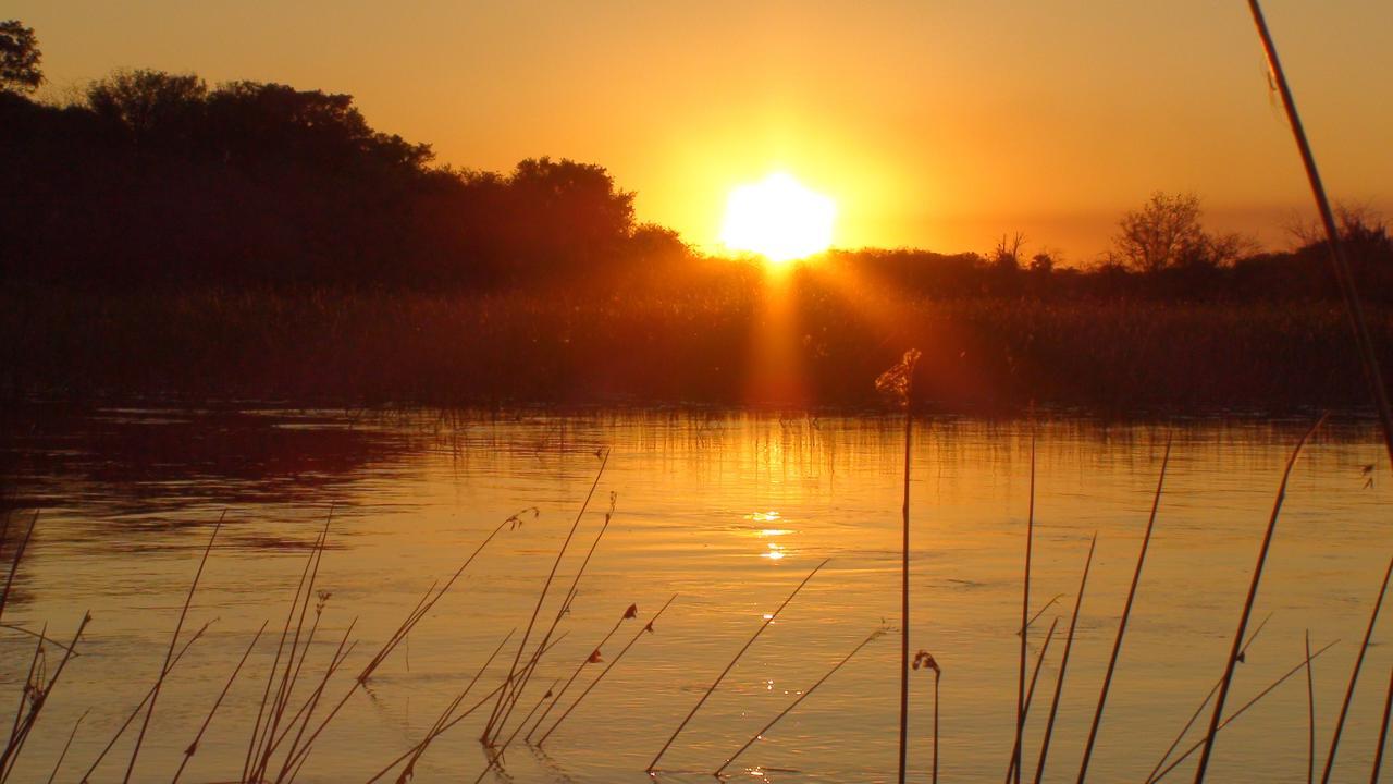 Island Safari Lodge Maun Exterior photo