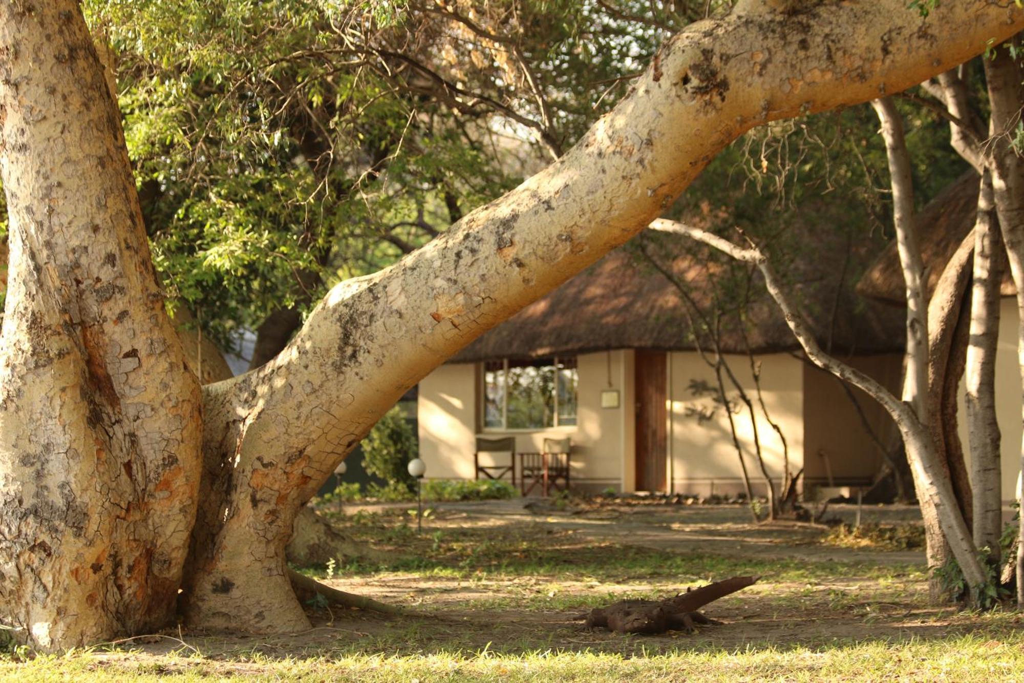 Island Safari Lodge Maun Exterior photo